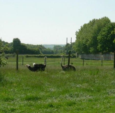 Gite De La Ferme Du Couvent Boran-sur-Oise Buitenkant foto
