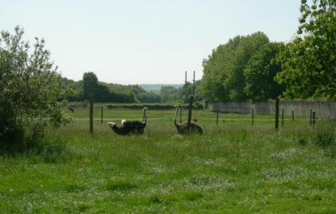 Gite De La Ferme Du Couvent Boran-sur-Oise Buitenkant foto